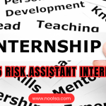 2025 Risk Assistant Internship