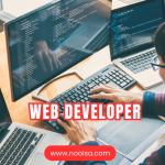 Web Developer