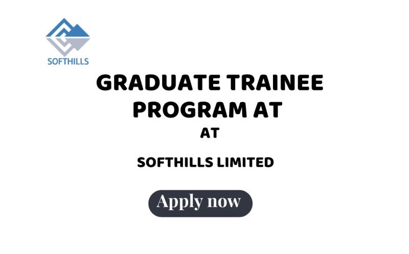 2025 Graduate Internship Program at Softhills Limited